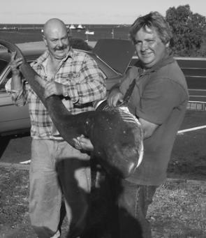 Ray Pryor and Peter Day off the Lee Breakwall with 30kg seven-gill shark.